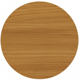 FRP DOOR SKIN COLOR